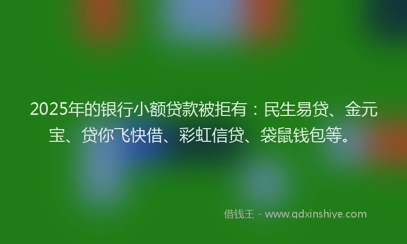 2025年的银行小额贷款被拒有：民生易贷、金元宝、贷你飞快借、彩虹信贷、袋鼠钱包等。