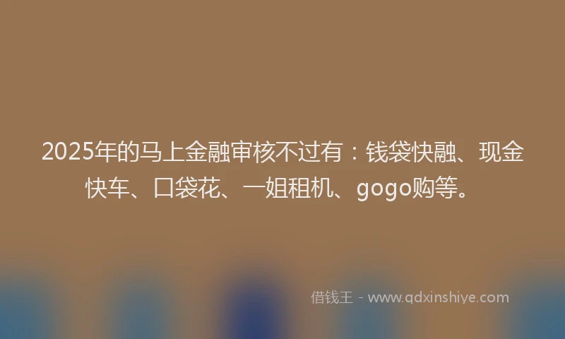 2025年的马上金融审核不过有：钱袋快融、现金快车、口袋花、一姐租机、gogo购等。