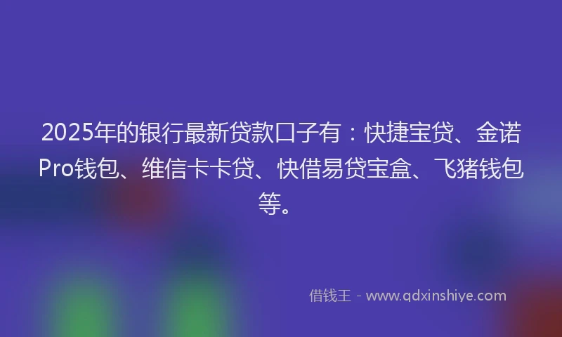 2025年的银行最新贷款口子有：快捷宝贷、金诺Pro钱包、维信卡卡贷、快借易贷宝盒、飞猪钱包等。