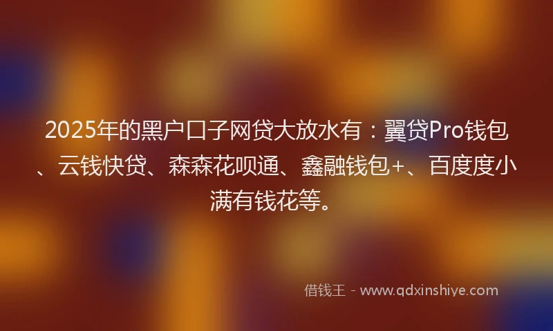 2025年的黑户口子网贷大放水有：翼贷Pro钱包、云钱快贷、森森花呗通、鑫融钱包+、百度度小满有钱花等。