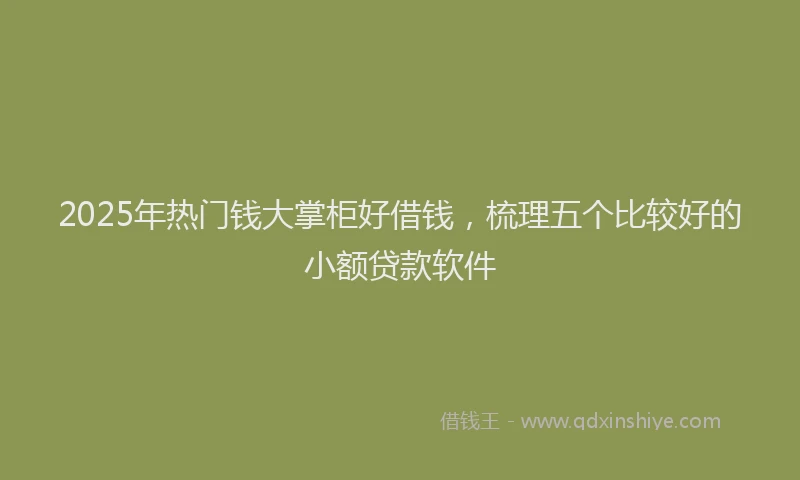 2025年热门钱大掌柜好借钱,梳理五个比较好的小额贷款软件