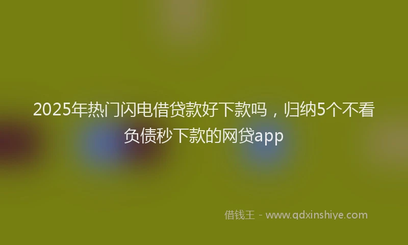 2025年热门闪电借贷款好下款吗，归纳5个不看负债秒下款的网贷app