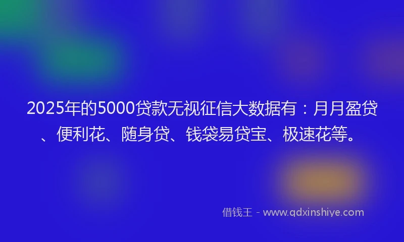 2025年的5000贷款无视征信大数据有：月月盈贷、便利花、随身贷、钱袋易贷宝、极速花等。