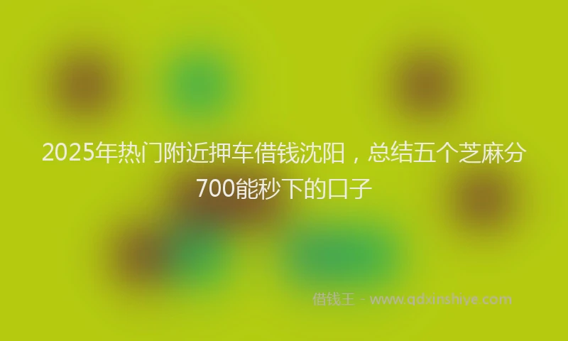 2025年热门附近押车借钱沈阳，总结五个芝麻分700能秒下的口子