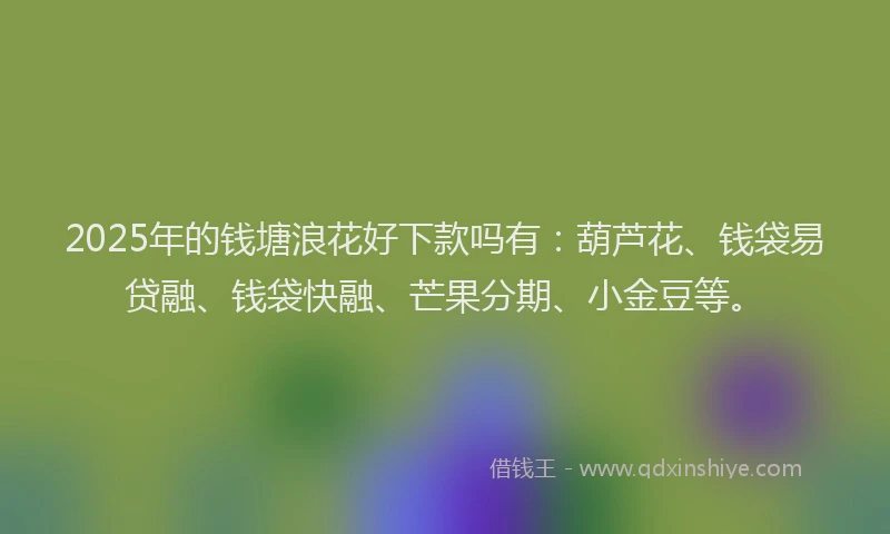 2025年的钱塘浪花好下款吗有：葫芦花、钱袋易贷融、钱袋快融、芒果分期、小金豆等。