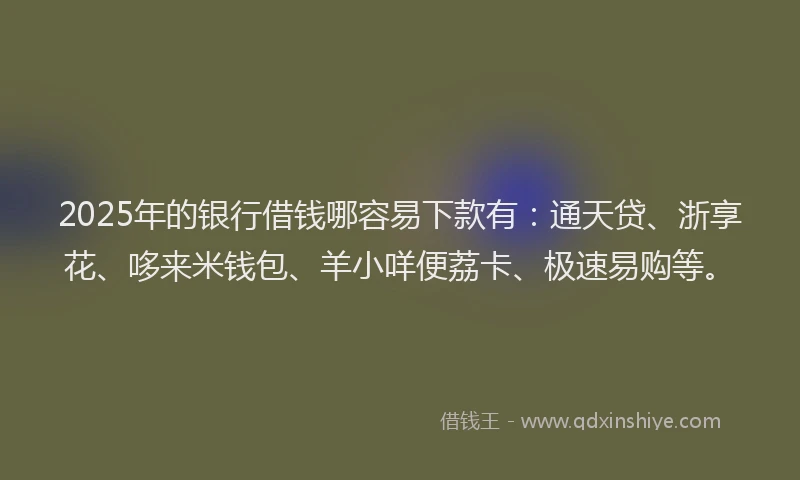 2025年的银行借钱哪容易下款有：通天贷、浙享花、哆来米钱包、羊小咩便荔卡、极速易购等。