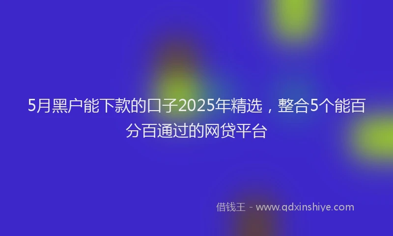 5月黑户能下款的口子2025年精选，整合5个能百分百通过的网贷平台