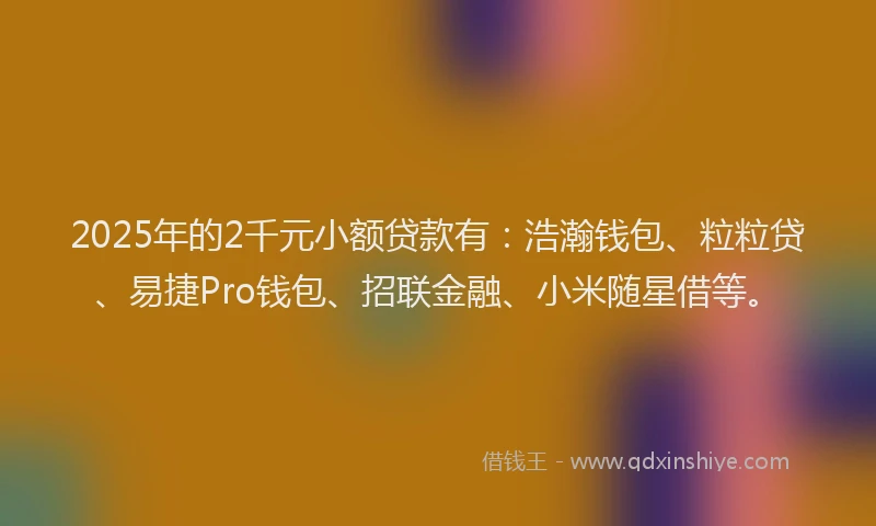 2025年的2千元小额贷款有：浩瀚钱包、粒粒贷、易捷Pro钱包、招联金融、小米随星借等。
