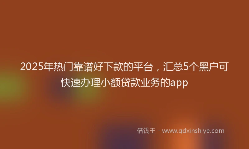 2025年热门靠谱好下款的平台，汇总5个黑户可快速办理小额贷款业务的app