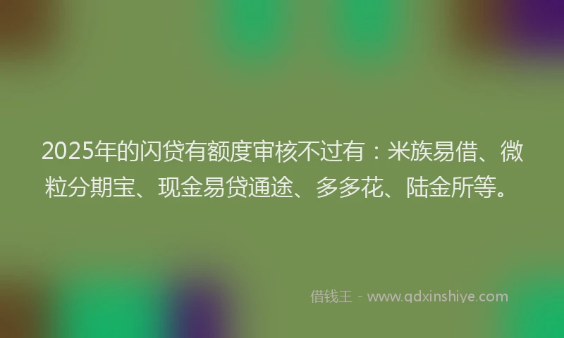 2025年的闪贷有额度审核不过有：米族易借、微粒分期宝、现金易贷通途、多多花、陆金所等。