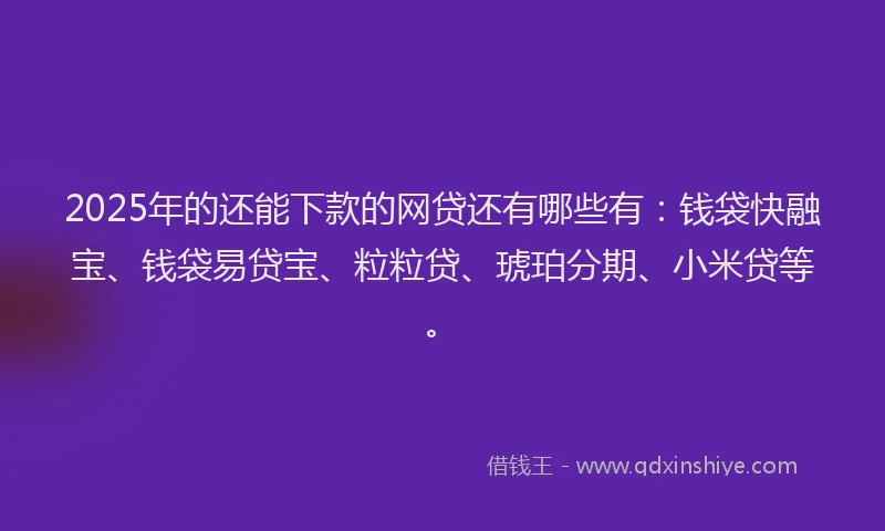 2025年的还能下款的网贷还有哪些有：钱袋快融宝、钱袋易贷宝、粒粒贷、琥珀分期、小米贷等。