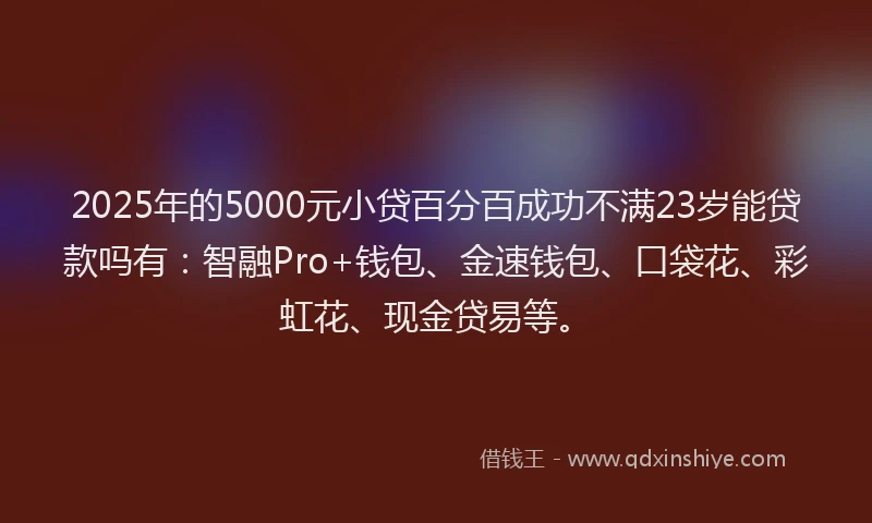 2025年的5000元小贷百分百成功不满23岁能贷款吗有：智融Pro+钱包、金速钱包、口袋花、彩虹花、现金贷易等。
