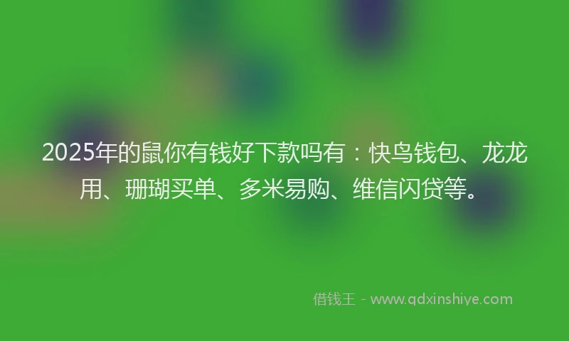 2025年的鼠你有钱好下款吗有：快鸟钱包、龙龙用、珊瑚买单、多米易购、维信闪贷等。