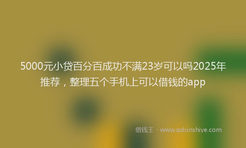 5000元小贷百分百成功不满23岁可以吗2025年推荐，整理五个手机上可以借钱的app