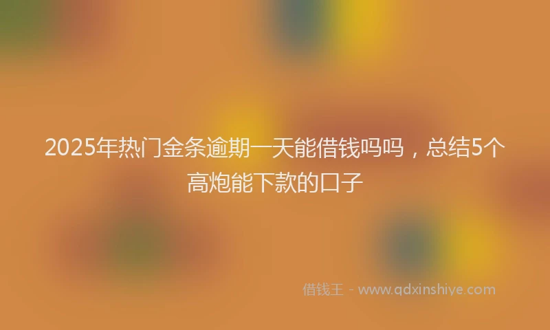 2025年热门金条逾期一天能借钱吗吗，总结5个高炮能下款的口子