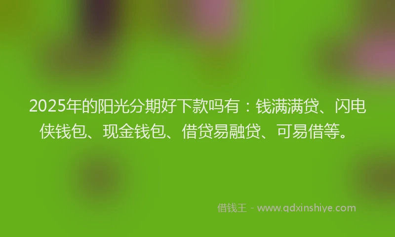 2025年的阳光分期好下款吗有：钱满满贷、闪电侠钱包、现金钱包、借贷易融贷、可易借等。