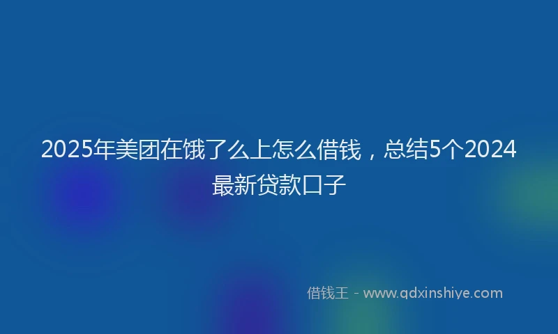 2025年美团在饿了么上怎么借钱，总结5个2024最新贷款口子