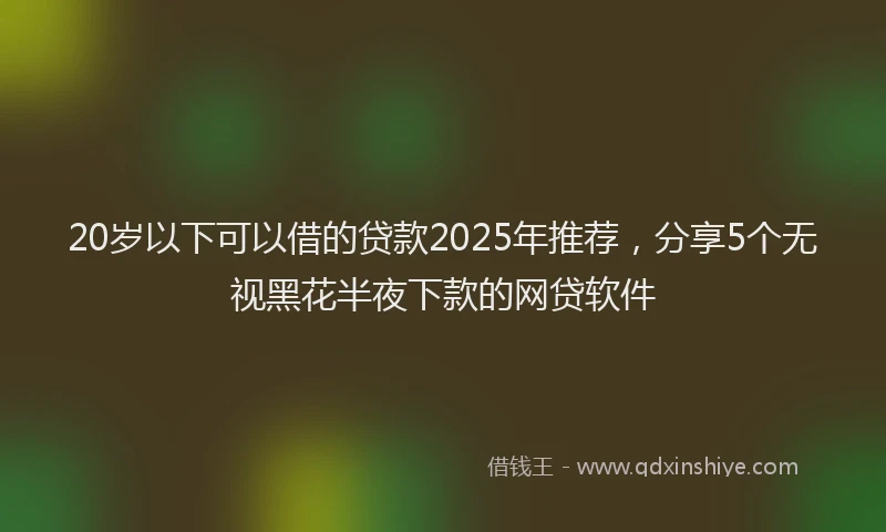 20岁以下可以借的贷款2025年推荐，分享5个无视黑花半夜下款的网贷软件