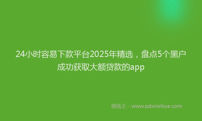 24小时容易下款平台2025年精选，盘点5个黑户成功获取大额贷款的app