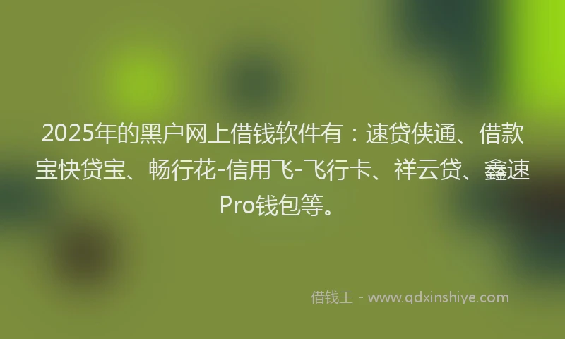 2025年的黑户网上借钱软件有：速贷侠通、借款宝快贷宝、畅行花-信用飞-飞行卡、祥云贷、鑫速Pro钱包等。