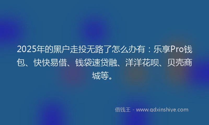 2025年的黑户走投无路了怎么办有：乐享Pro钱包、快快易借、钱袋速贷融、洋洋花呗、贝壳商城等。