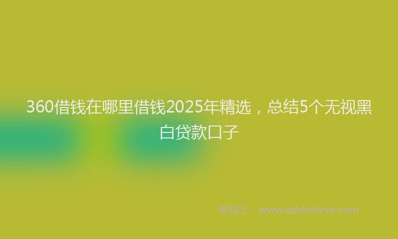 360借钱在哪里借钱2025年精选，总结5个无视黑白贷款口子
