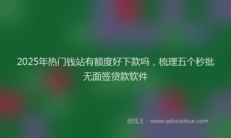 2025年热门钱站有额度好下款吗，梳理五个秒批无面签贷款软件