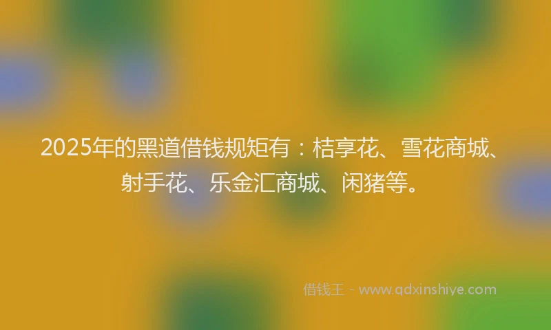 2025年的黑道借钱规矩有：桔享花、雪花商城、射手花、乐金汇商城、闲猪等。