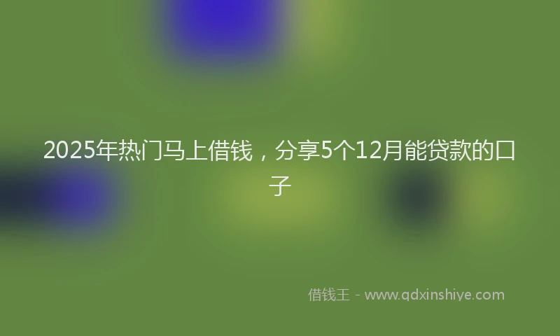 2025年热门马上借钱，分享5个12月能贷款的口子