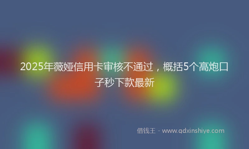 2025年薇娅信用卡审核不通过，概括5个高炮口子秒下款最新