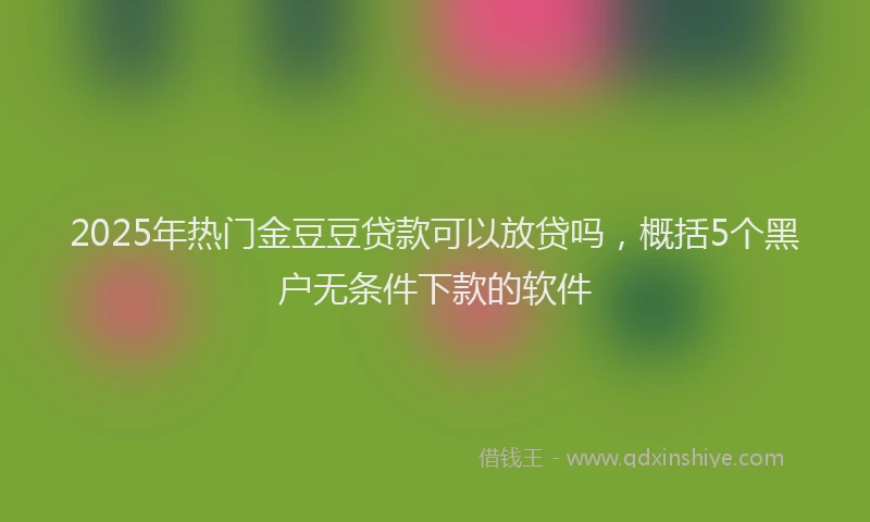 2025年热门金豆豆贷款可以放贷吗,概括5个黑户无条件下款的软件