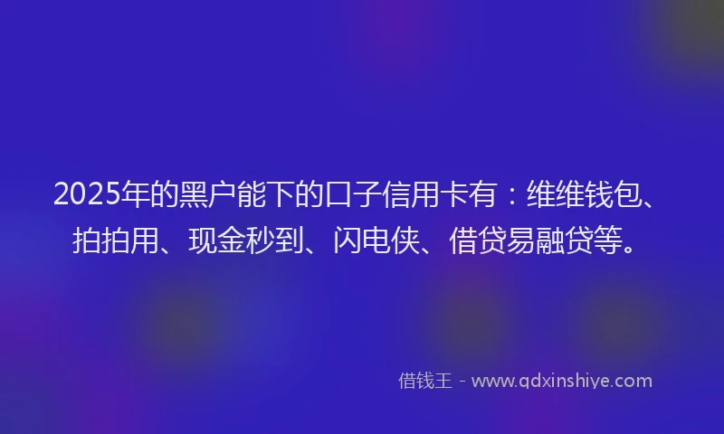 2025年的黑户能下的口子信用卡有：维维钱包、拍拍用、现金秒到、闪电侠、借贷易融贷等。