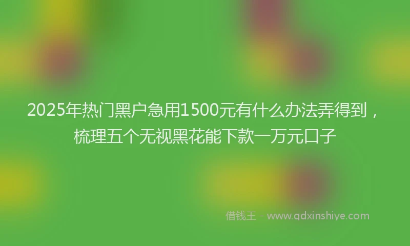 2025年热门黑户急用1500元有什么办法弄得到，梳理五个无视黑花能下款一万元口子