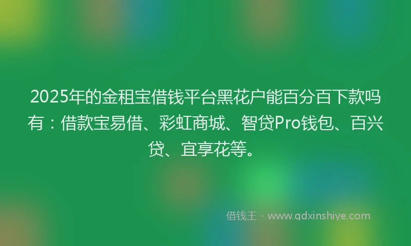2025年的金租宝借钱平台黑花户能百分百下款吗有：借款宝易借、彩虹商城、智贷Pro钱包、百兴贷、宜享花等。