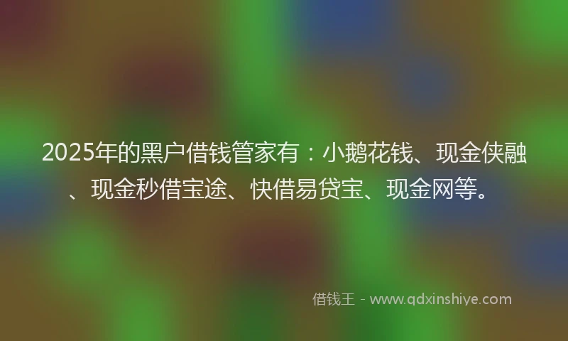 2025年的黑户借钱管家有：小鹅花钱、现金侠融、现金秒借宝途、快借易贷宝、现金网等。
