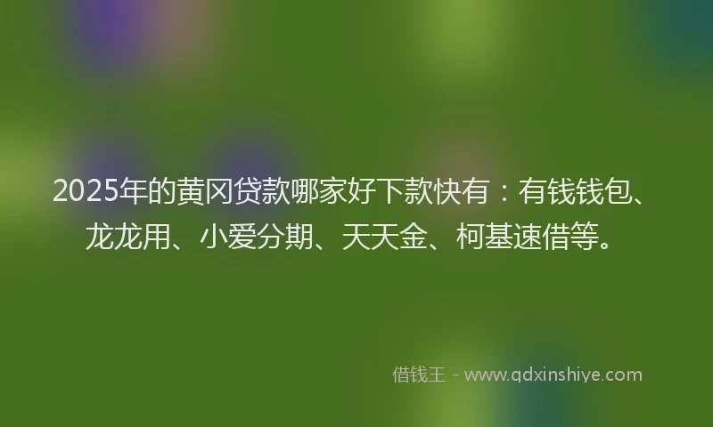 2025年的黄冈贷款哪家好下款快有：有钱钱包、龙龙用、小爱分期、天天金、柯基速借等。
