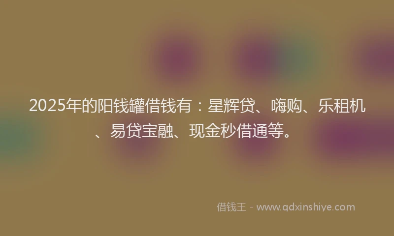 2025年的阳钱罐借钱有：星辉贷、嗨购、乐租机、易贷宝融、现金秒借通等。