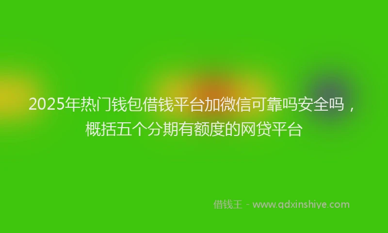 2025年热门钱包借钱平台加微信可靠吗安全吗，概括五个分期有额度的网贷平台