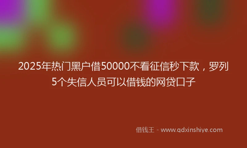 2025年热门黑户借50000不看征信秒下款，罗列5个失信人员可以借钱的网贷口子