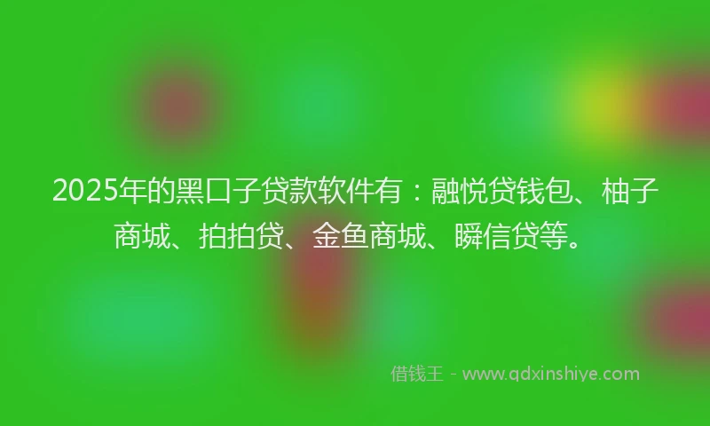 2025年的黑口子贷款软件有：融悦贷钱包、柚子商城、拍拍贷、金鱼商城、瞬信贷等。
