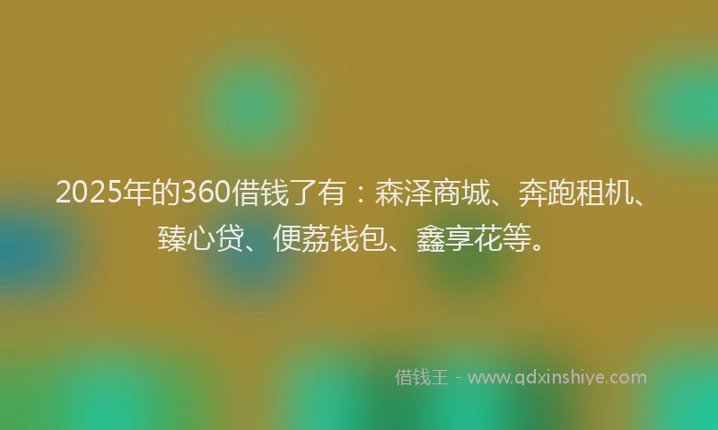 2025年的360借钱了有：森泽商城、奔跑租机、臻心贷、便荔钱包、鑫享花等。