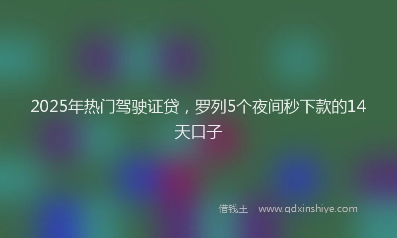 2025年热门驾驶证贷，罗列5个夜间秒下款的14天口子
