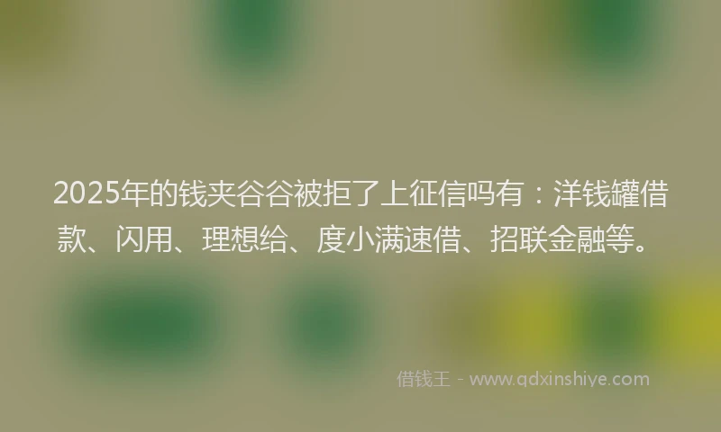 2025年的钱夹谷谷被拒了上征信吗有：洋钱罐借款、闪用、理想给、度小满速借、招联金融等。