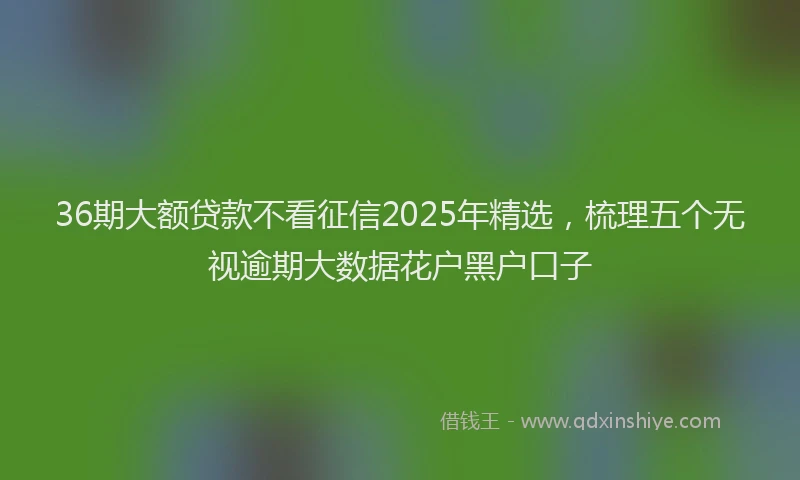 36期大额贷款不看征信2025年精选，梳理五个无视逾期大数据花户黑户口子