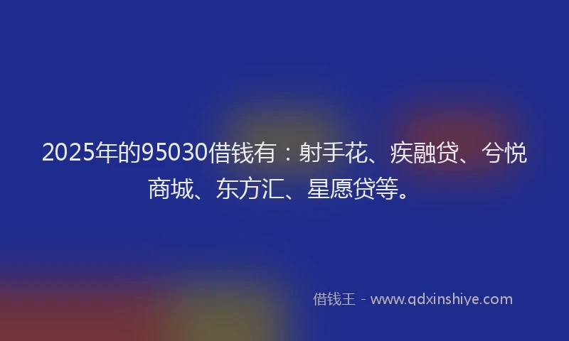 2025年的95030借钱有：射手花、疾融贷、兮悦商城、东方汇、星愿贷等。