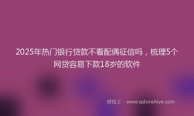 2025年热门银行贷款不看配偶征信吗，梳理5个网贷容易下款18岁的软件