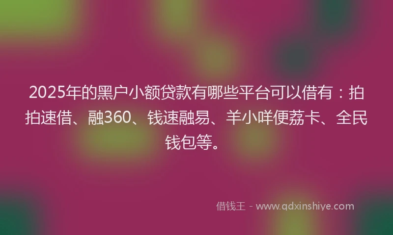 2025年的黑户小额贷款有哪些平台可以借有：拍拍速借、融360、钱速融易、羊小咩便荔卡、全民钱包等。