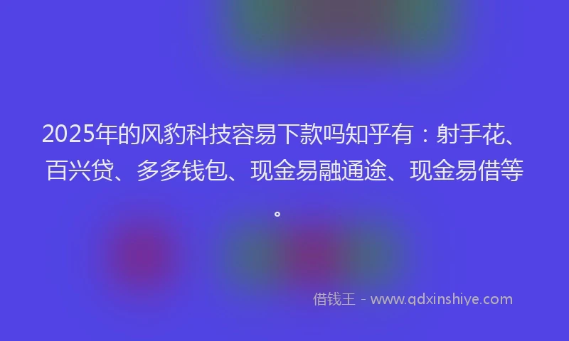 2025年的风豹科技容易下款吗知乎有：射手花、百兴贷、多多钱包、现金易融通途、现金易借等。