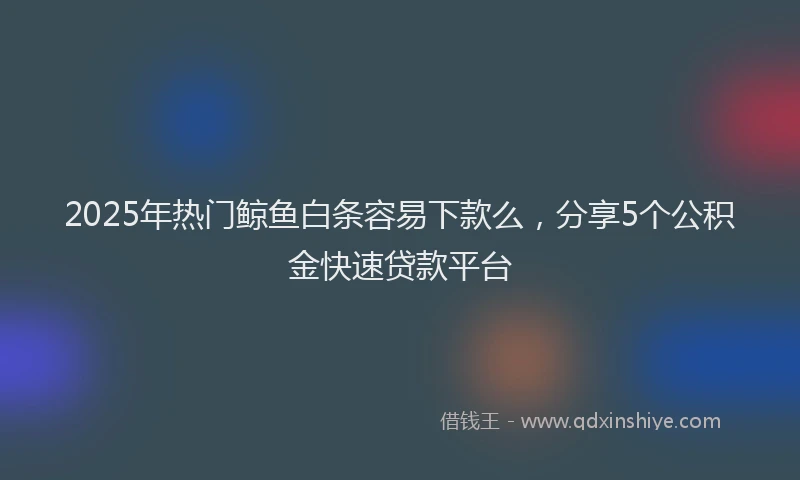2025年热门鲸鱼白条容易下款么，分享5个公积金快速贷款平台