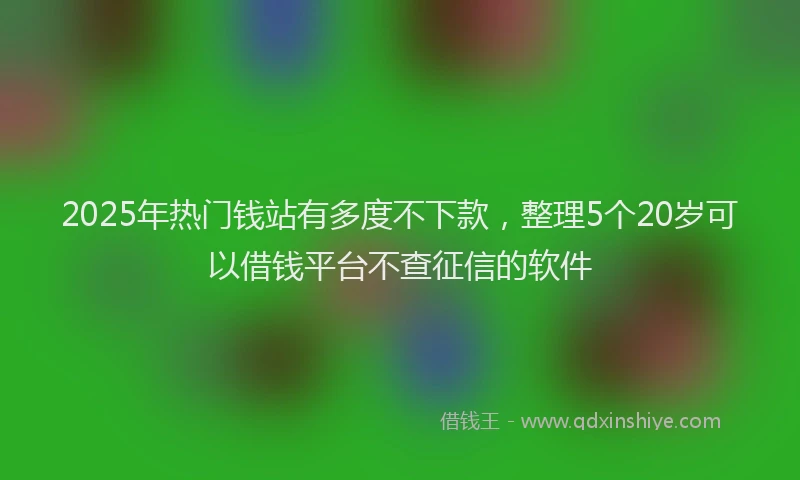 2025年热门钱站有多度不下款，整理5个20岁可以借钱平台不查征信的软件
